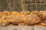 palivove-drevo-img_4512.jpg